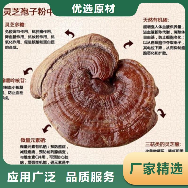 灵芝孢子粉、灵芝孢子粉厂家直销-诚信经营