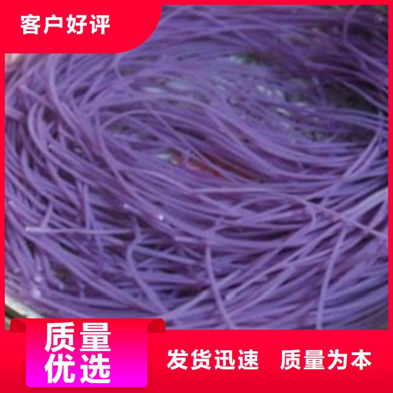 紫薯粉来电报价