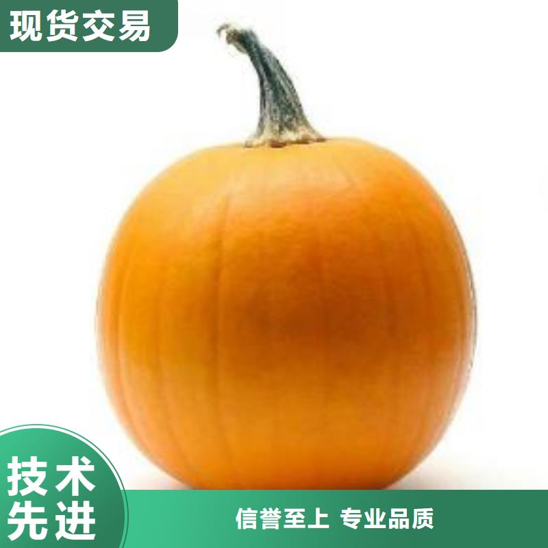 南瓜粉制造厂_乐农食品有限公司