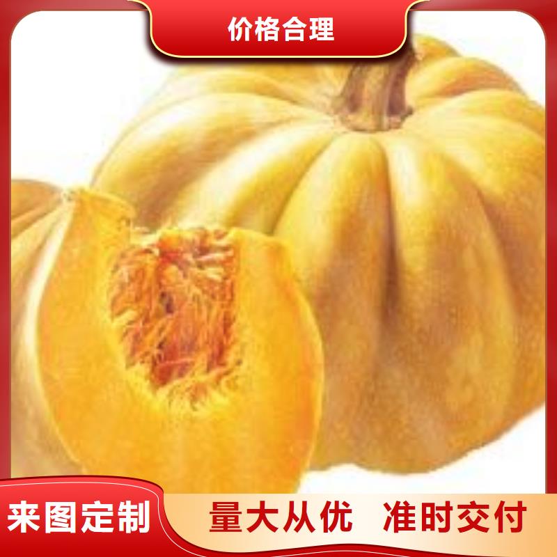 南瓜粉-南瓜粉专业生产