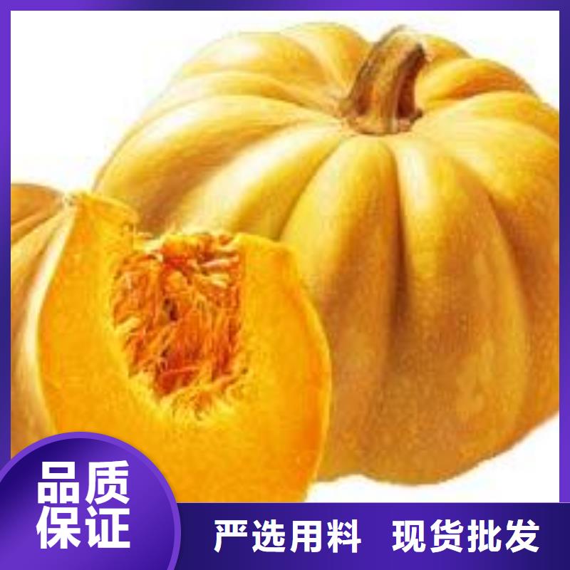 销售南瓜粉公司