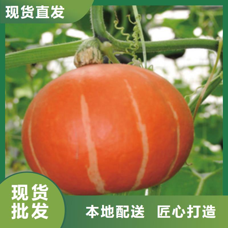 南瓜粉厂家-点击领取样品