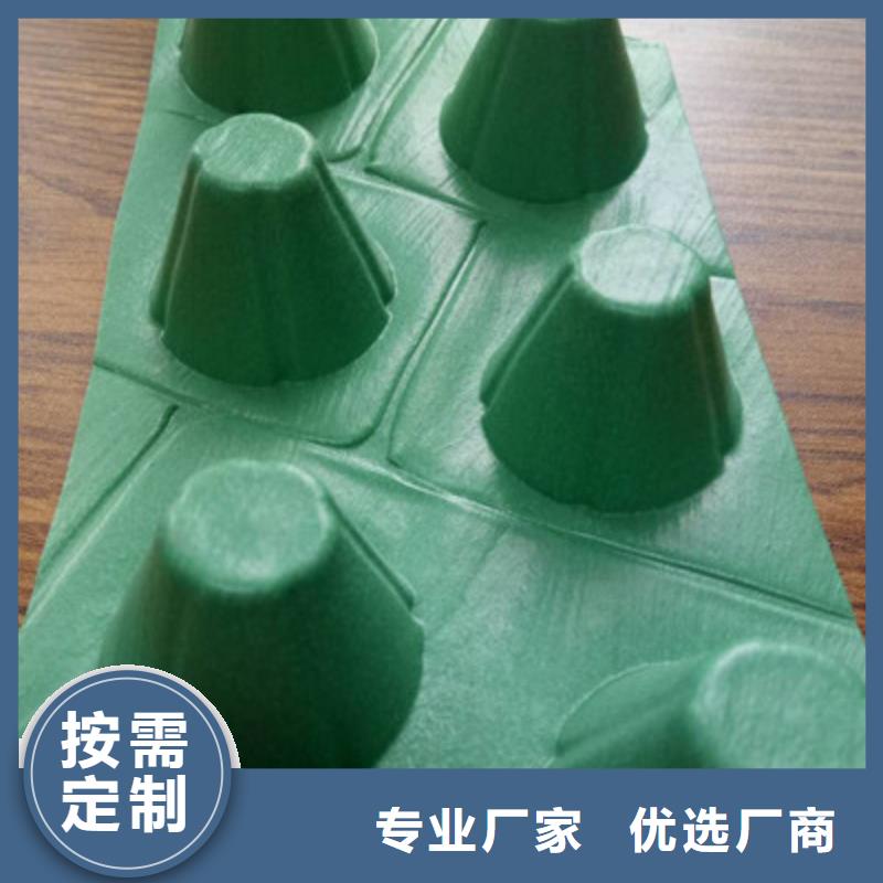 忻州批发新闻@12厚蜂窝型塑料保水排水格片-今日资讯牡丹江