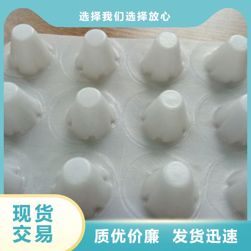 新闻G>《湘潭》销售2公分塑料排水凸片-张掖
