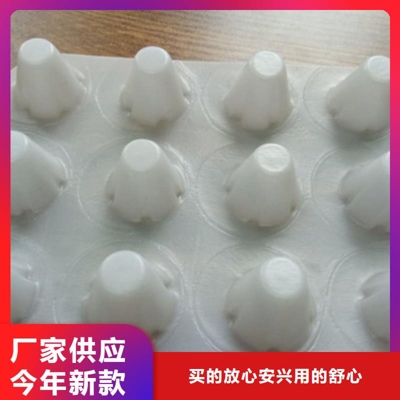 莆田附近新闻@12厚蜂窝型塑料保水排水格片-加工生产菏泽