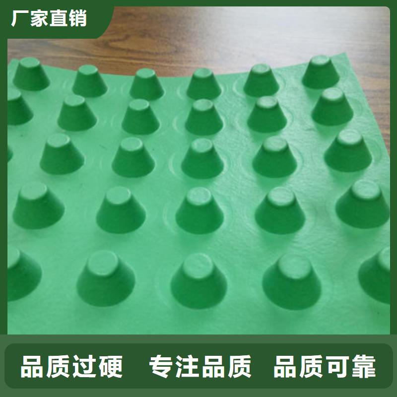 新闻G>《潍坊》实体厂家支持定制瑞通2公分塑料排滤水板-四平