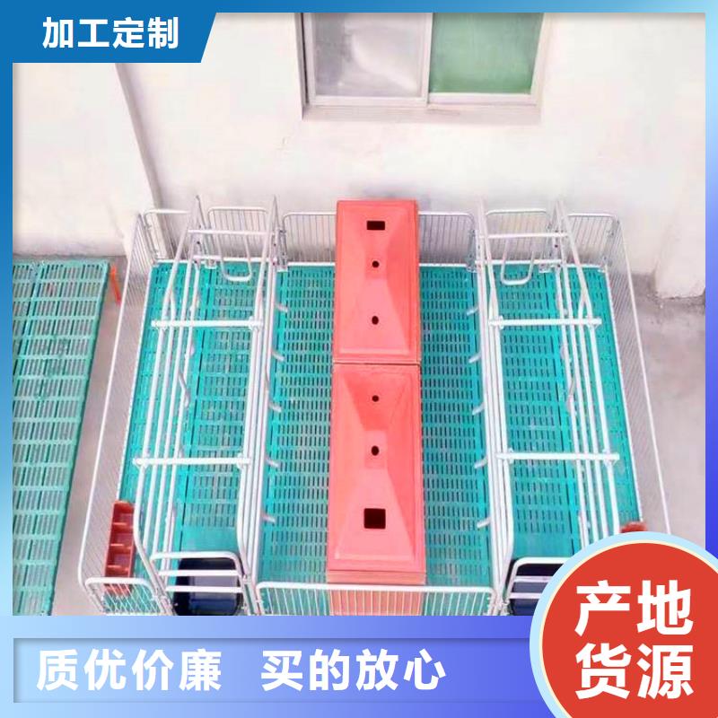 河南同城省养猪厂专用产床源于细节