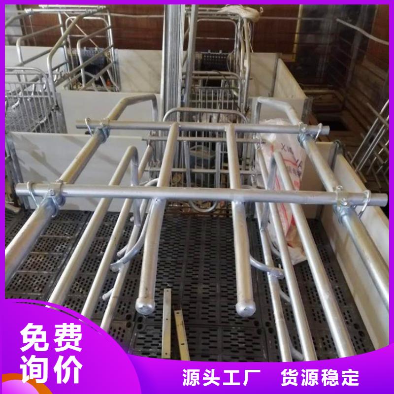 贵州省贵阳咨询市复合双位母猪产床养殖场多少钱