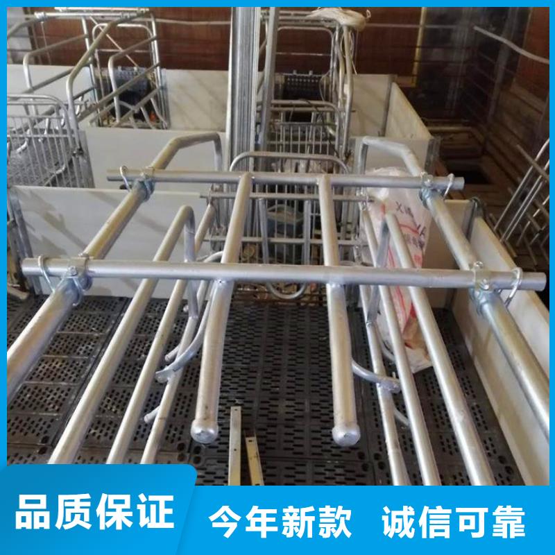 福建定制省养猪厂专用产床源于服务