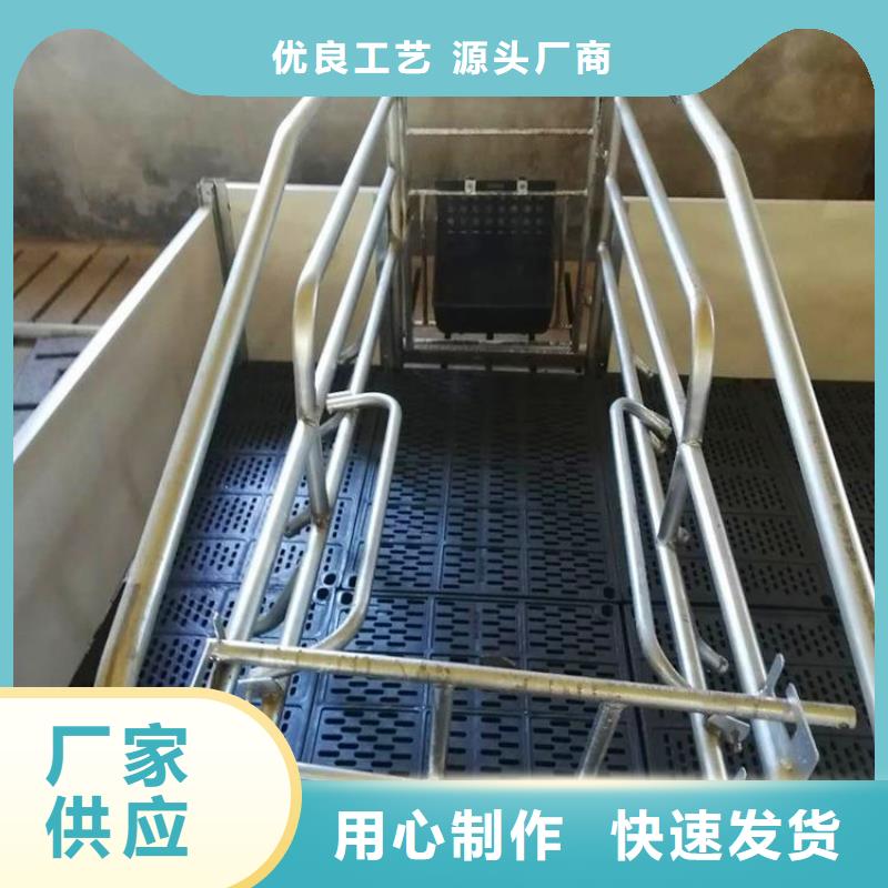 陕西省榆林咨询市加厚母猪产床养殖场多少钱