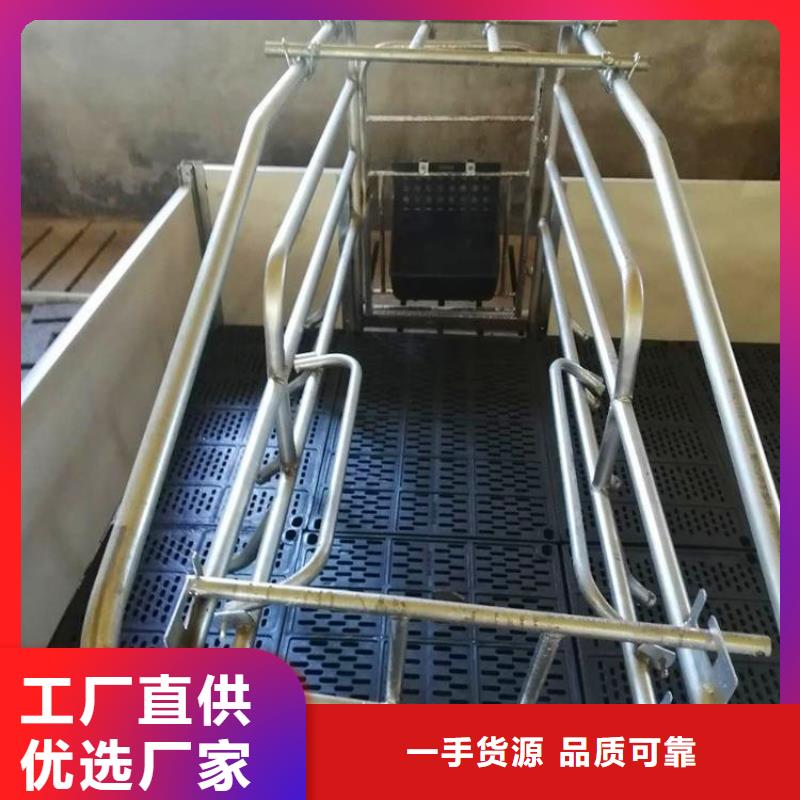 江西当地省养猪厂专用产床源于细节