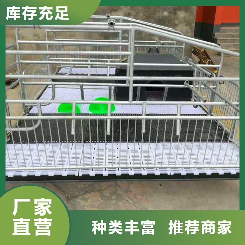 朝阳买母猪产床设备结构
