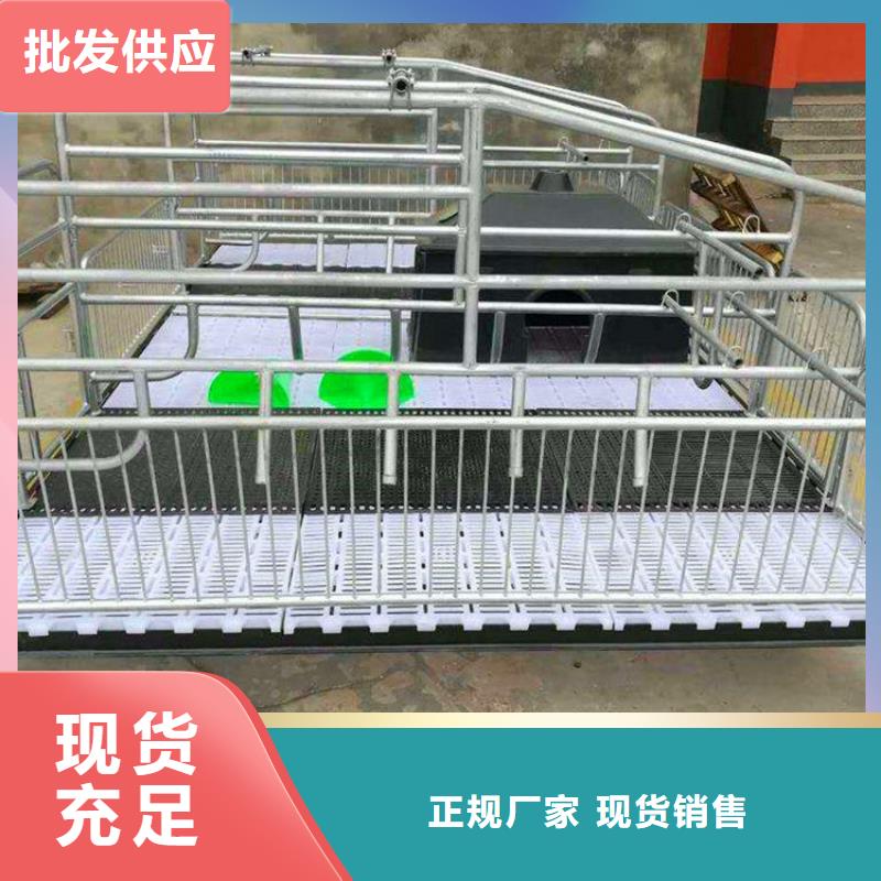 安徽咨询省双体母猪产床标准规格