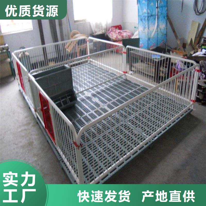 【安徽】询价省养猪厂产床设备标准规格