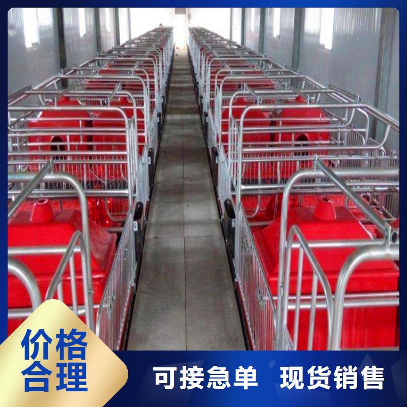 苏州生产加厚母猪产床厂家