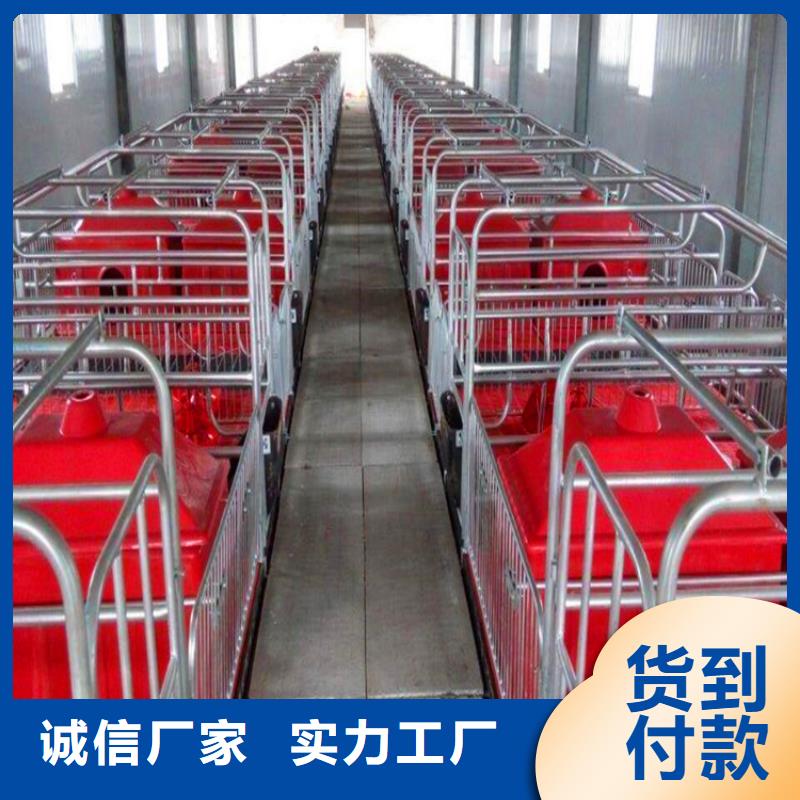【河南】当地省母猪分娩栏源于服务