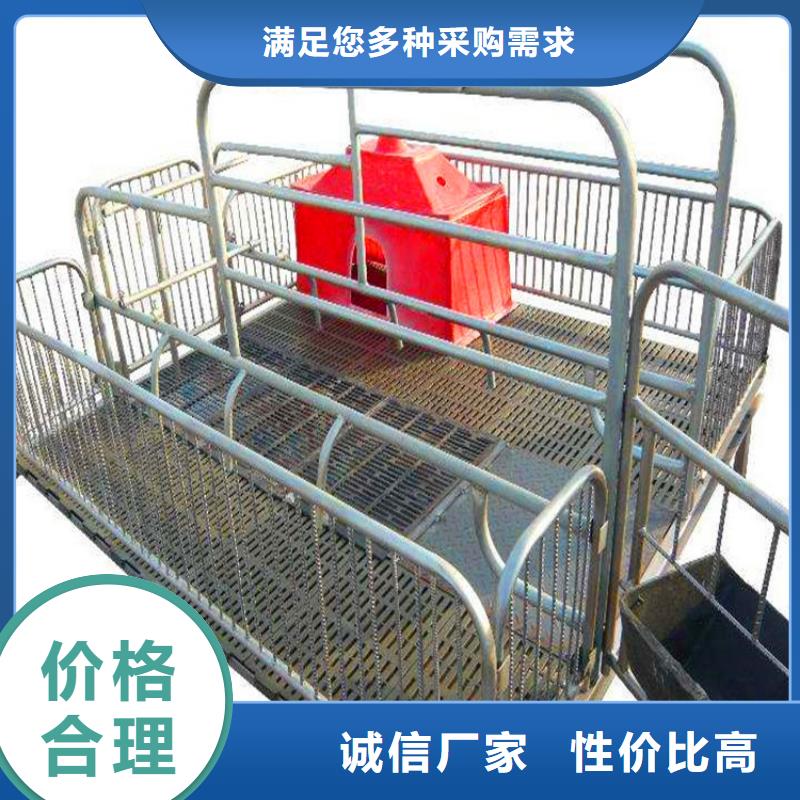 南京优选母猪定位栏代加工