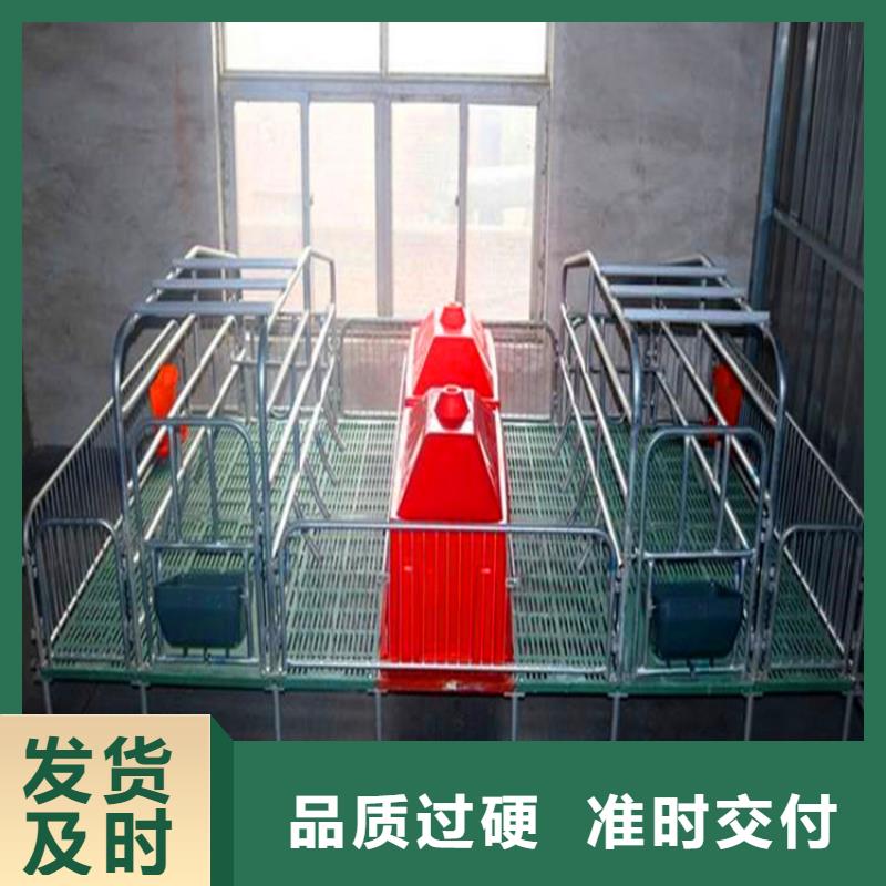 广西选购省母猪分娩栏源于服务