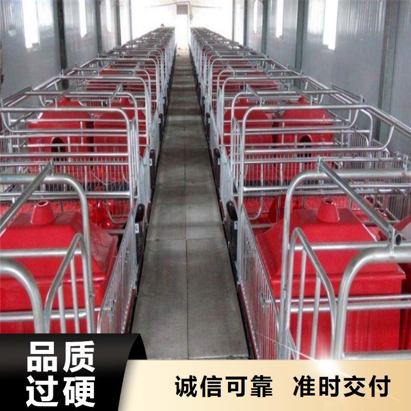 江苏省扬州找市母猪产床养殖场直销厂家