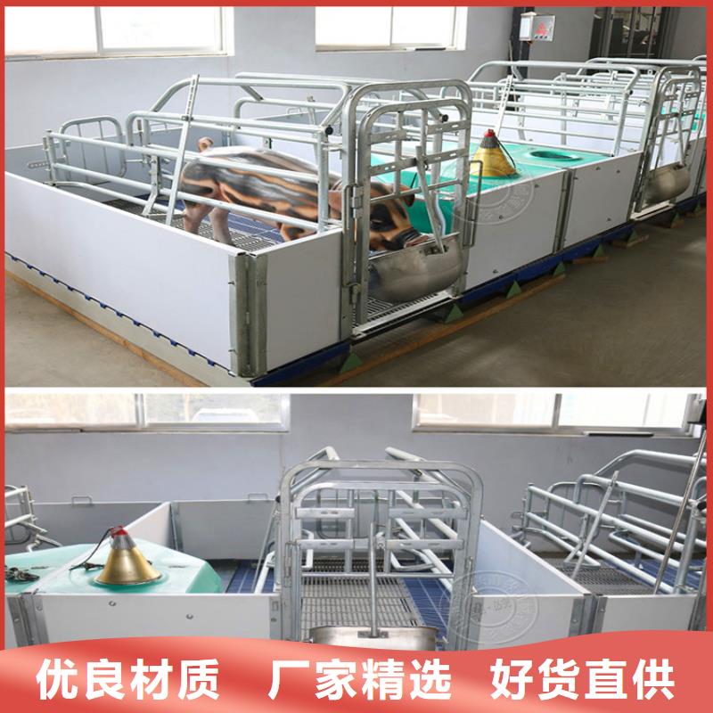 宁夏生产回族自治区养猪厂专用产床源于质量