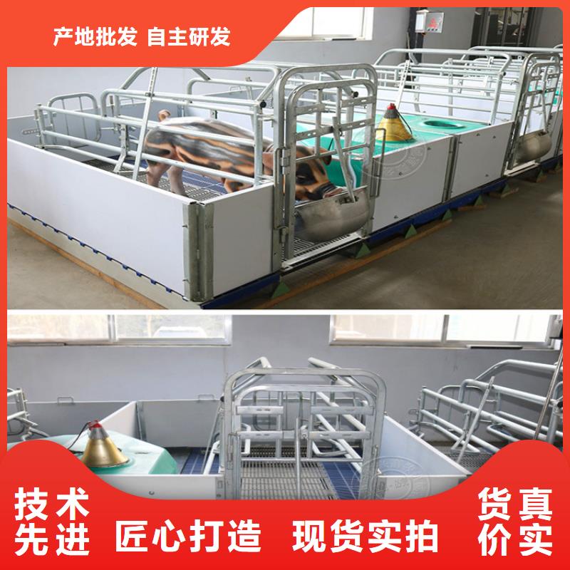 贵州省贵阳咨询市复合双位母猪产床养殖场多少钱