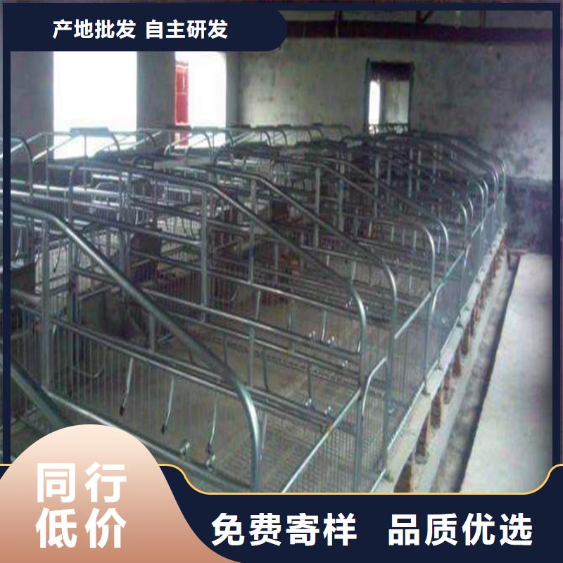 许昌本地厂家值得信赖京茂落地款母猪定位栏专业生产