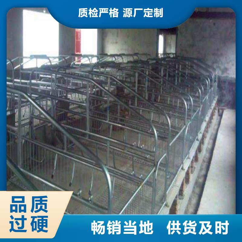 重庆支持加工定制京茂双体母猪产床
现货出售