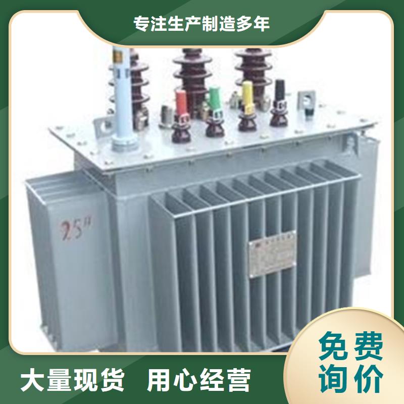 (湛江)同城汇德1000KVAS11油浸式电力变压器生产
