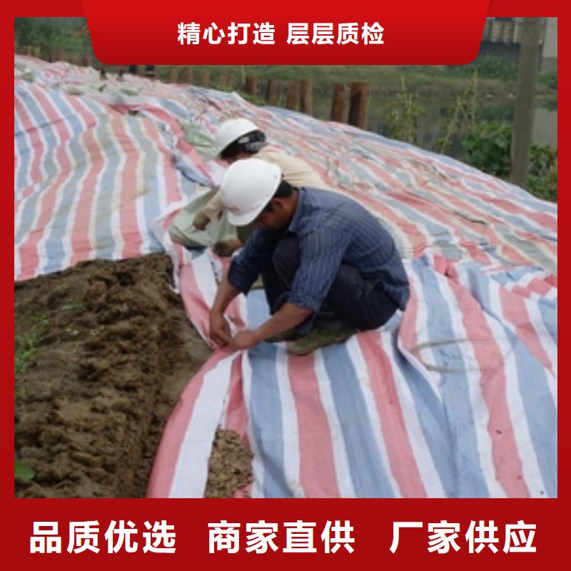 忻州品质生产彩条布的当地厂家