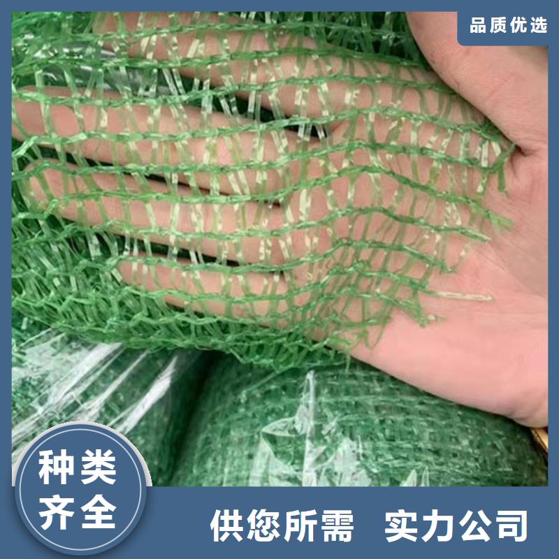 惠州该地质量好的盖土网厂家批发