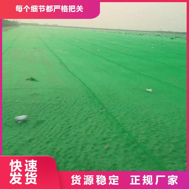 【天津】当地[鑫达]环保防尘网省心的选择