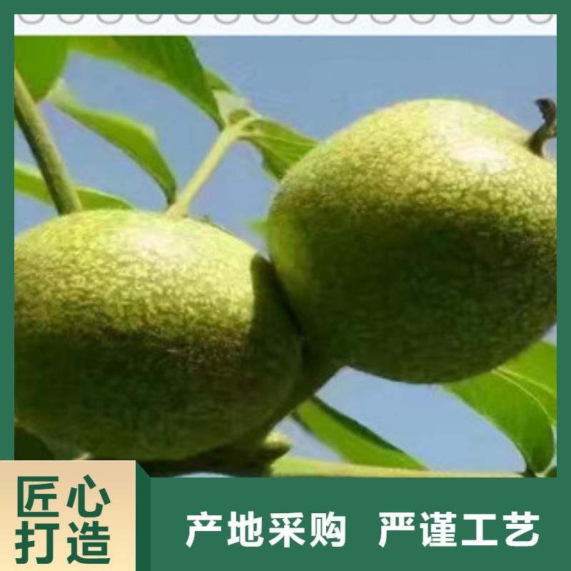 3核桃苗可加工設計