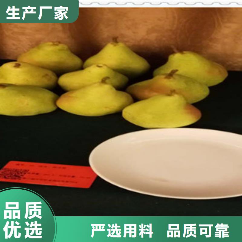 口碑好的梨子苗經(jīng)銷(xiāo)商