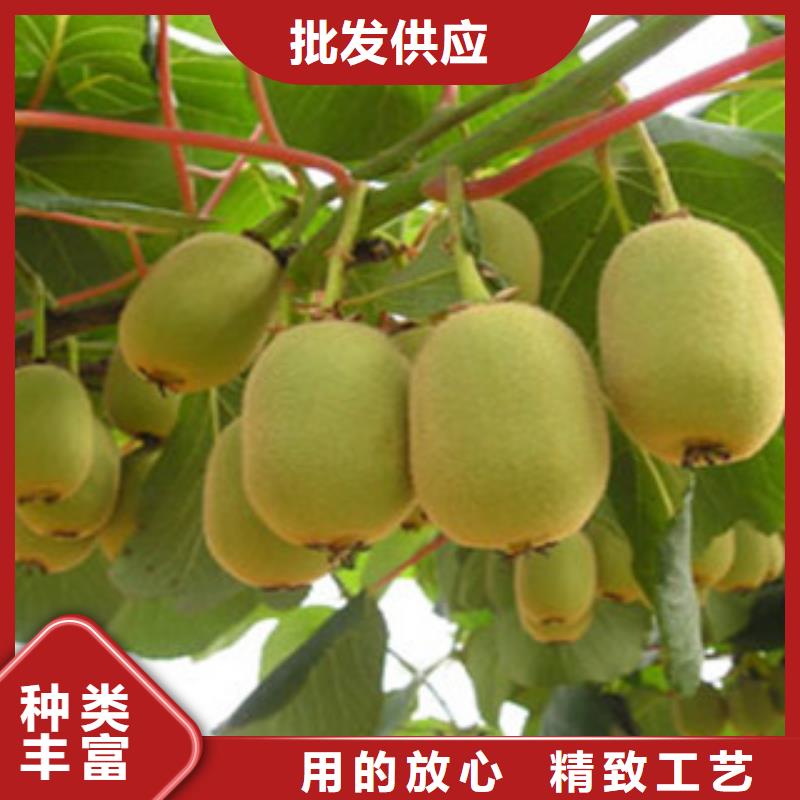《重庆》选购0.8厘米海沃德猕猴桃苗怎么买0.8厘米