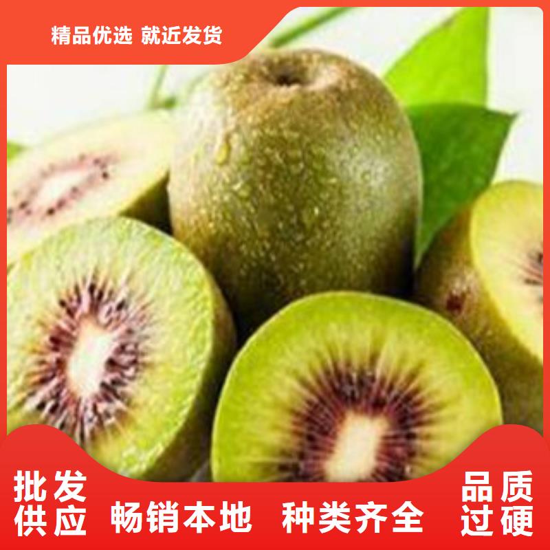 《重庆》选购0.8厘米海沃德猕猴桃苗怎么买0.8厘米