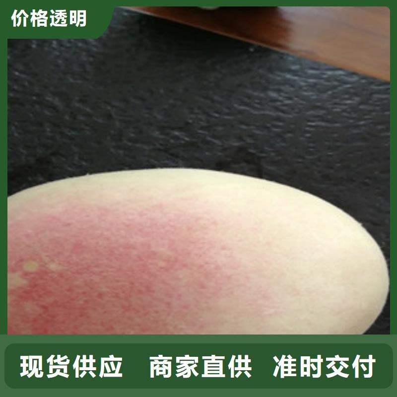 (大庆)厂家精选兴海油桃树苗种植方法