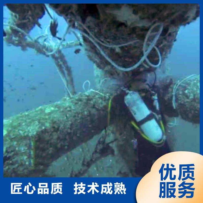 广东广州定制本地服务公司——水下封堵检修公司-向深蓝出发*