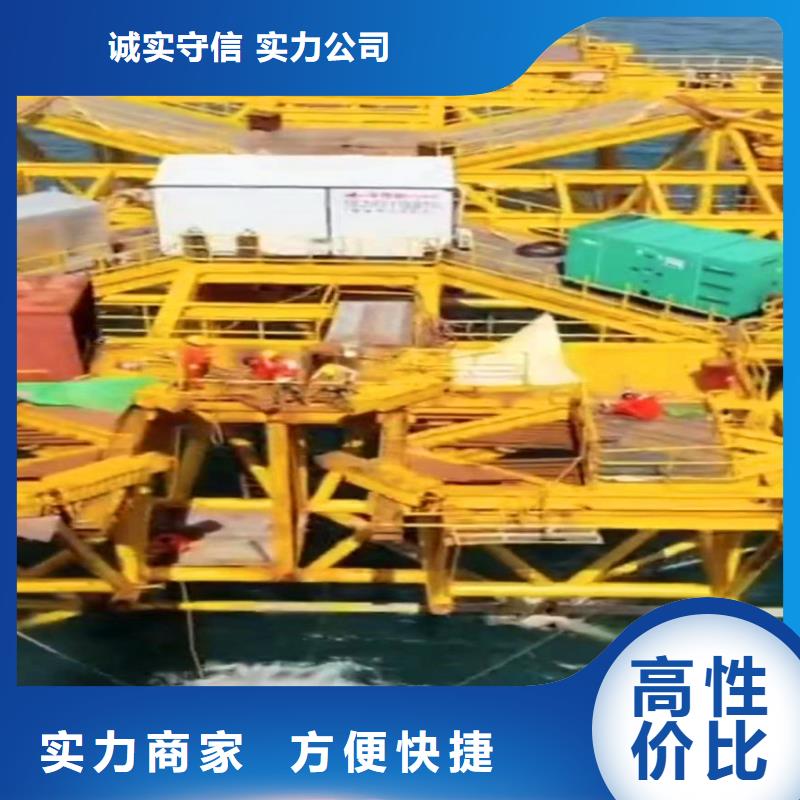 浙江杭州附近本地服务公司——桥桩码头水下检测拍照公司+浪淘沙水工……