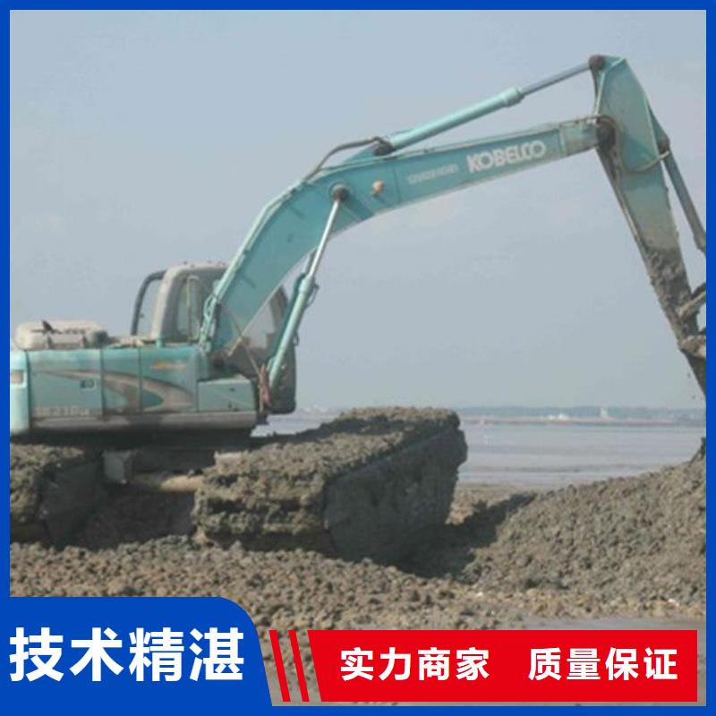 【南平】批发附近两栖挖掘机租赁如何联系