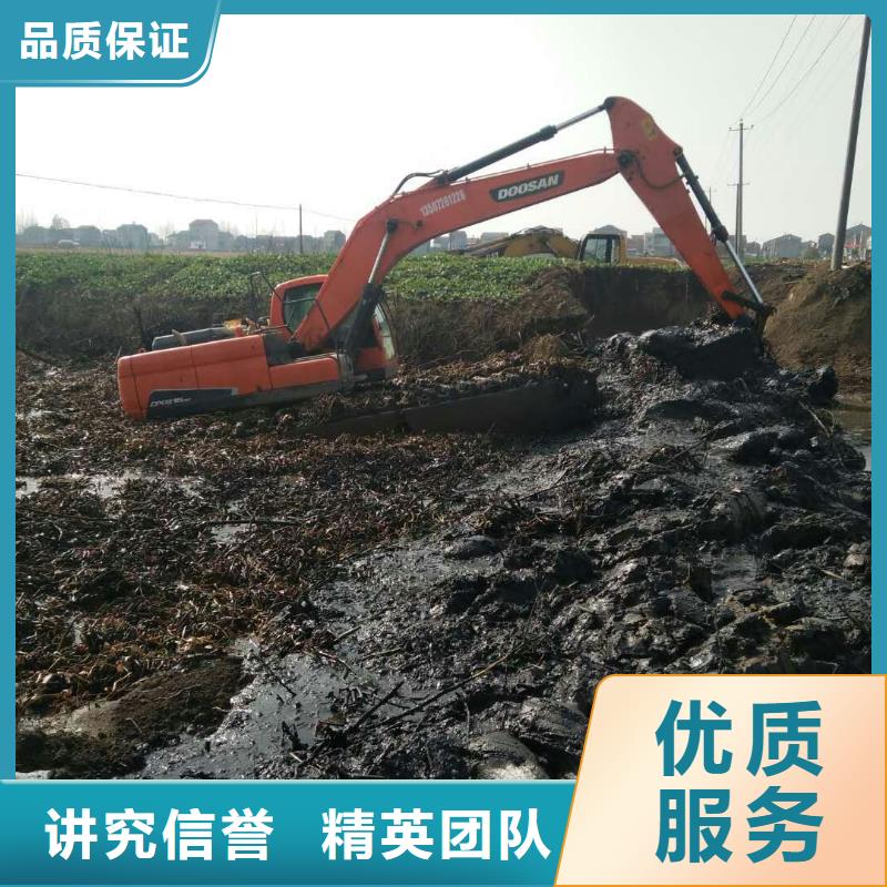 芜湖免费咨询泽军附近水陆挖掘机租赁组图