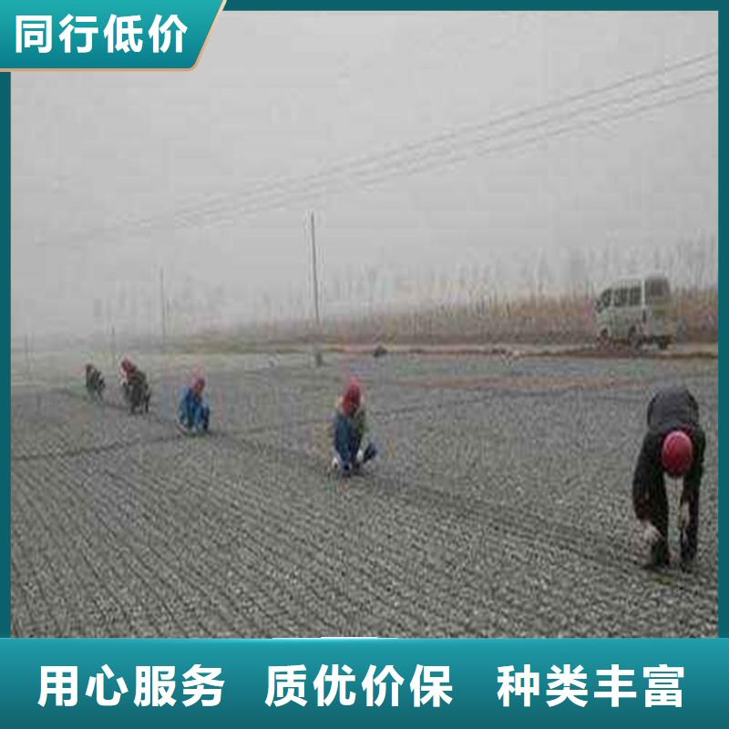 滁州经营30KN玻纤土工格栅供应商