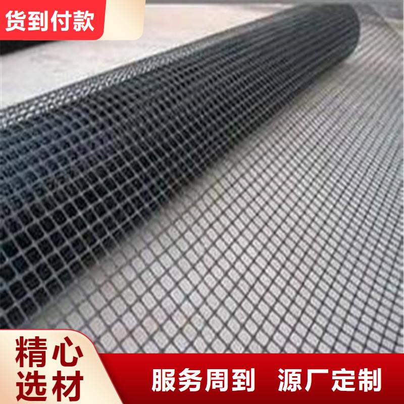 復(fù)合土工格柵廠家