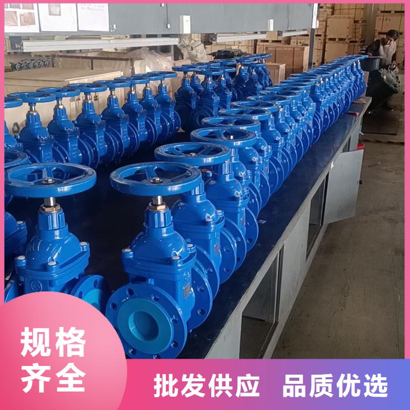 帶鎖具閘閥精工細作質量可靠