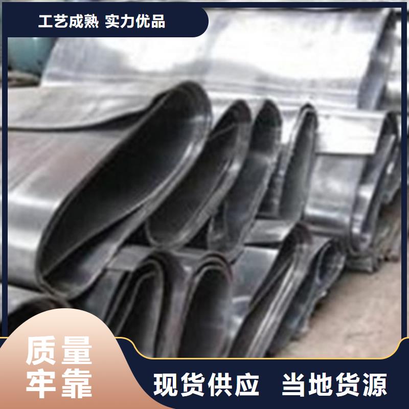 上海产品细节参数[瑞杰]制造铅门的厂家
