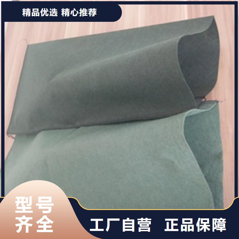 有现货的植生毯生产厂家