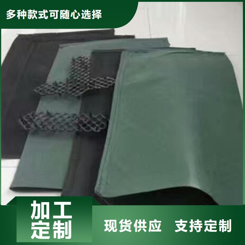 植生毯基本介绍