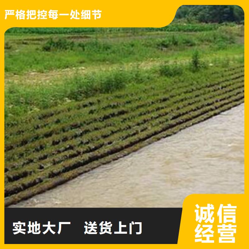 植生毯基本介绍