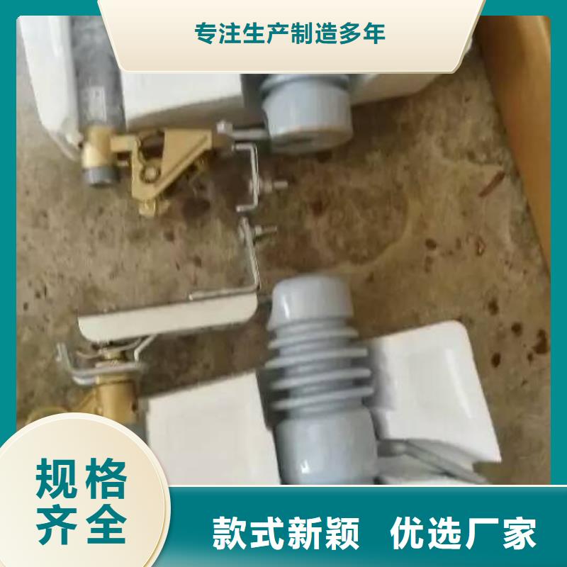 戶外高壓交流跌落式熔斷器大型廠家