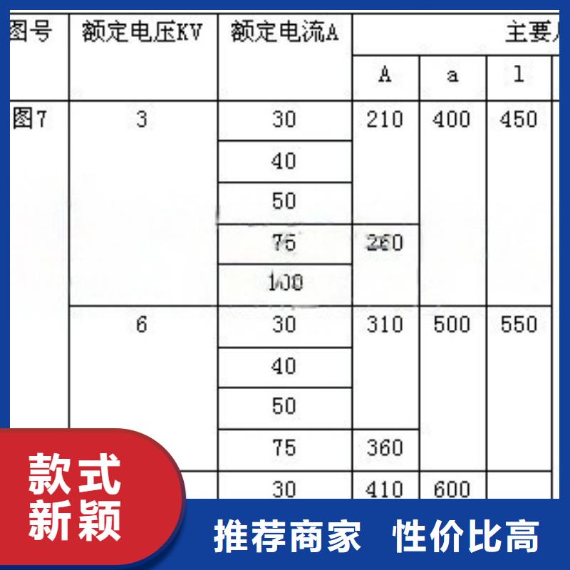戶外高壓交流跌落式熔斷器-我們只做高品質(zhì)