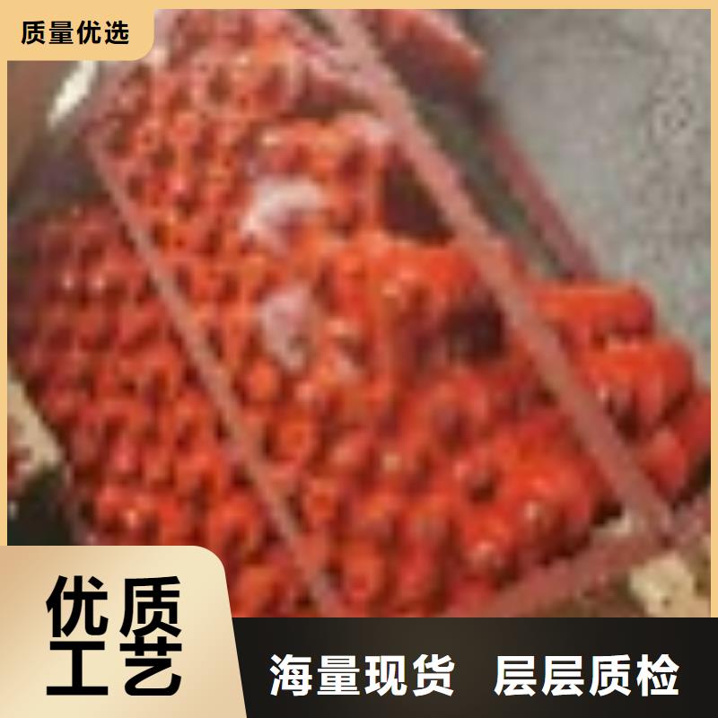 线路型YH5WX-108/281YH5WX-108/309线路避雷器实力厂家